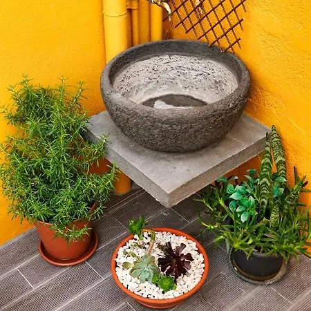 Em Canto De Santa Clara Holiday home Ponta Delgada (Sao Miguel)