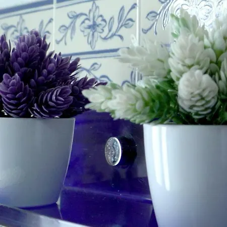 Em Canto De Santa Clara Holiday home Ponta Delgada (Sao Miguel)