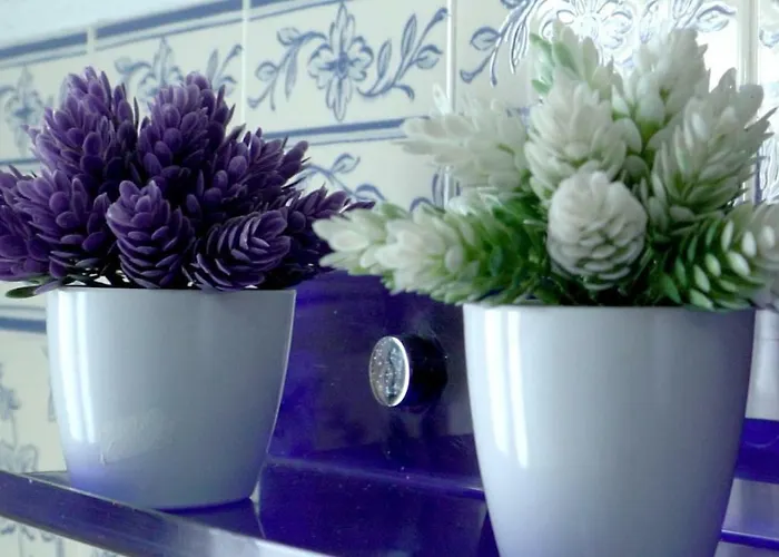 Em Canto De Santa Clara Holiday home Ponta Delgada (Sao Miguel)