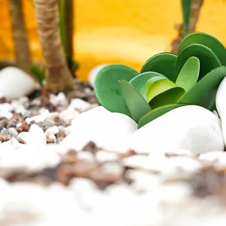 Em Canto De Santa Clara