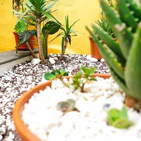 Em Canto De Santa Clara