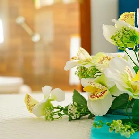 Em Canto De Santa Clara *