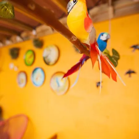 Em Canto De Santa Clara Ponta Delgada