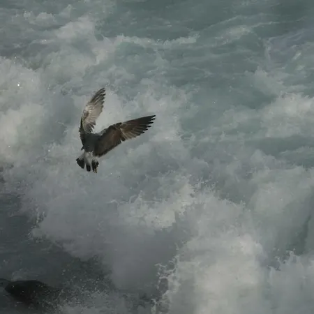 Em Canto De Santa Clara Сasa de vacaciones Ponta Delgada