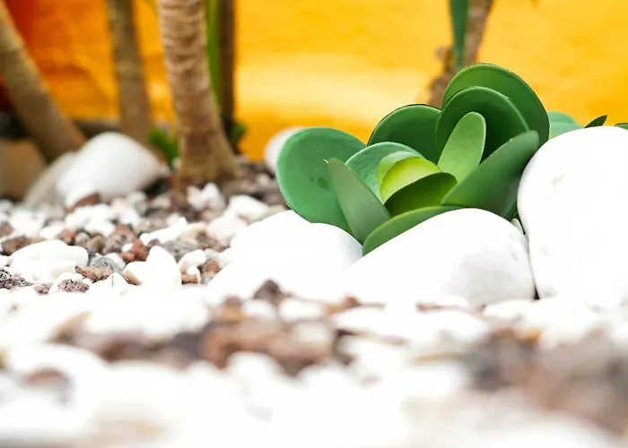 Em Canto De Santa Clara