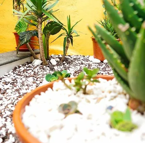 Em Canto De Santa Clara