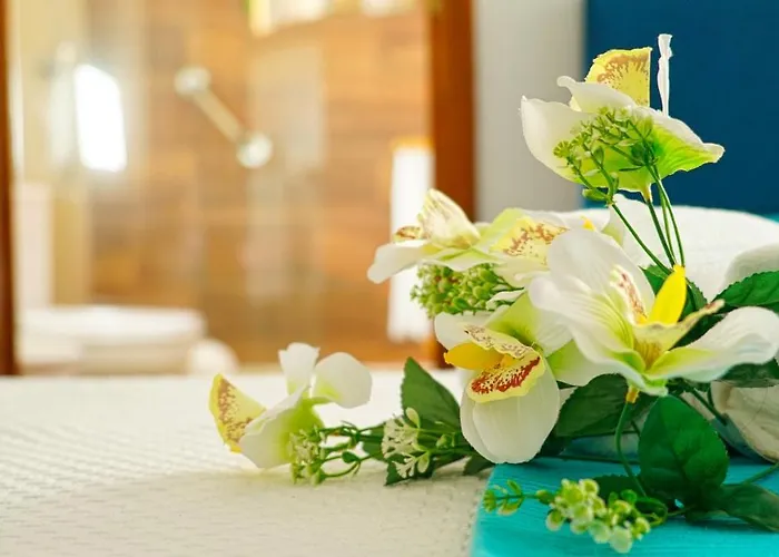 Em Canto De Santa Clara *