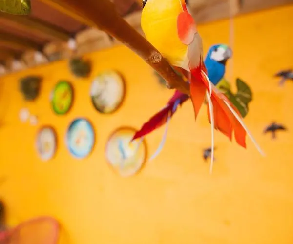 Em Canto De Santa Clara Ponta Delgada