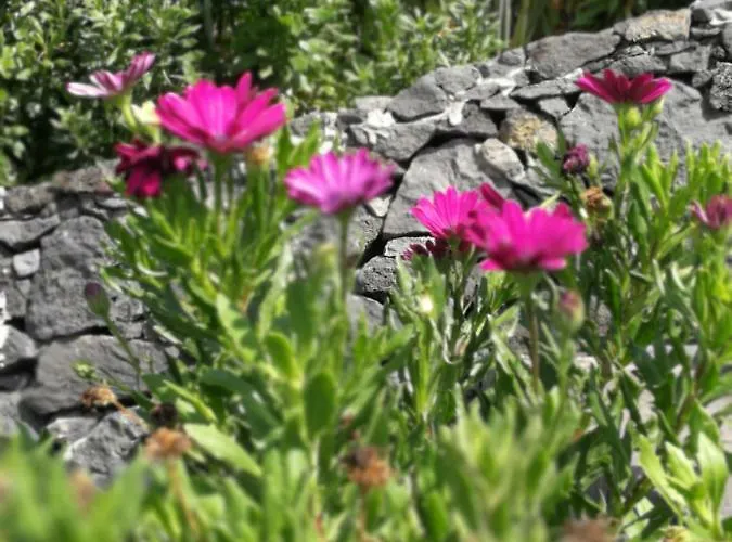 Em Canto De Santa Clara Tatil Evi