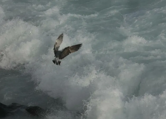 Em Canto De Santa Clara 度假居 蓬塔德尔加达