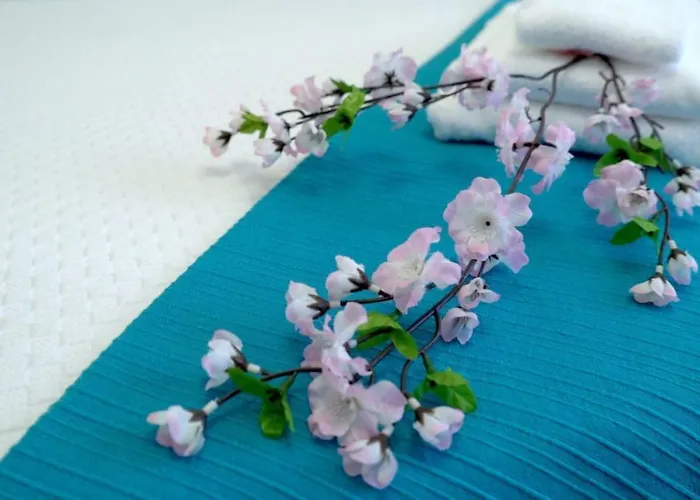 Em Canto De Santa Clara Ponta Delgada